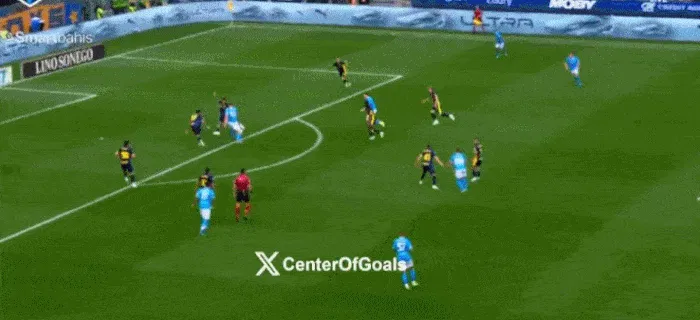 九游娱乐下载-那不勒斯1-1帕尔马多赛1场落后国米6分，麦克托米奈破门